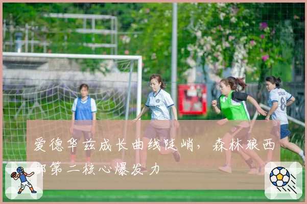 爱德华兹成长曲线陡峭，森林狼西部第二核心爆发力