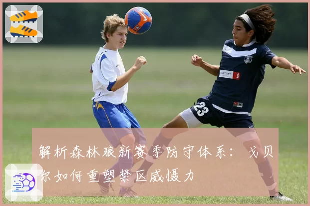 解析森林狼新赛季防守体系：戈贝尔如何重塑禁区威慑力