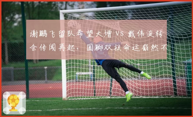 谢鹏飞留队希望大增 vs 戴伟浚转会传闻再起,国脚双核命运截然不同