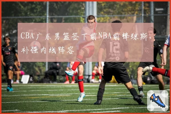 CBA广东男篮签下前NBA前锋琼斯，补强内线阵容