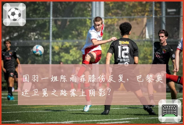 国羽一姐陈雨菲膝伤反复，巴黎奥运卫冕之路蒙上阴影？