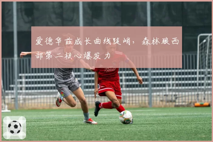 爱德华兹成长曲线陡峭，森林狼西部第二核心爆发力