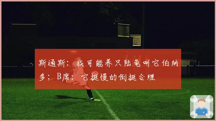 斯通斯:我可能养只陆龟叫它伯纳多;B席:它挺慢的倒挺合理