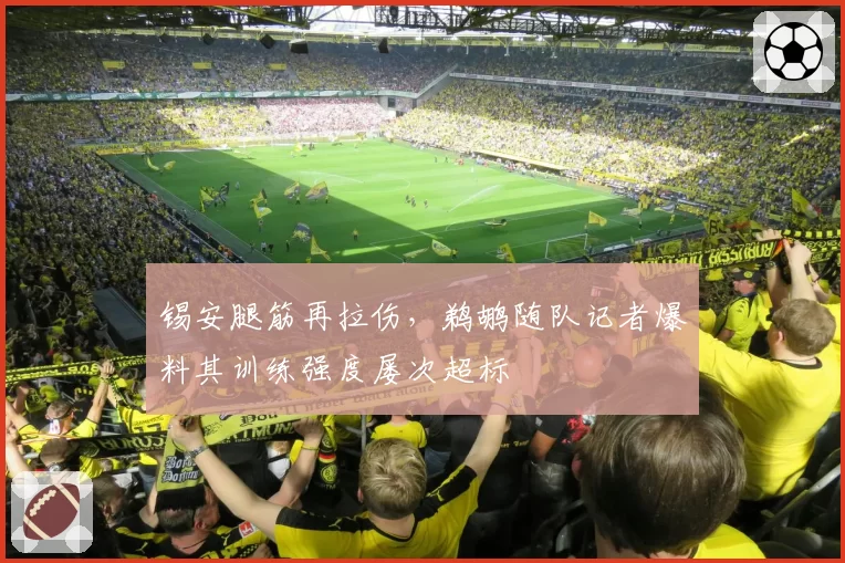 锡安腿筋再拉伤，鹈鹕随队记者爆料其训练强度屡次超标