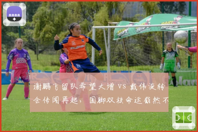 谢鹏飞留队希望大增 vs 戴伟浚转会传闻再起，国脚双核命运截然不同