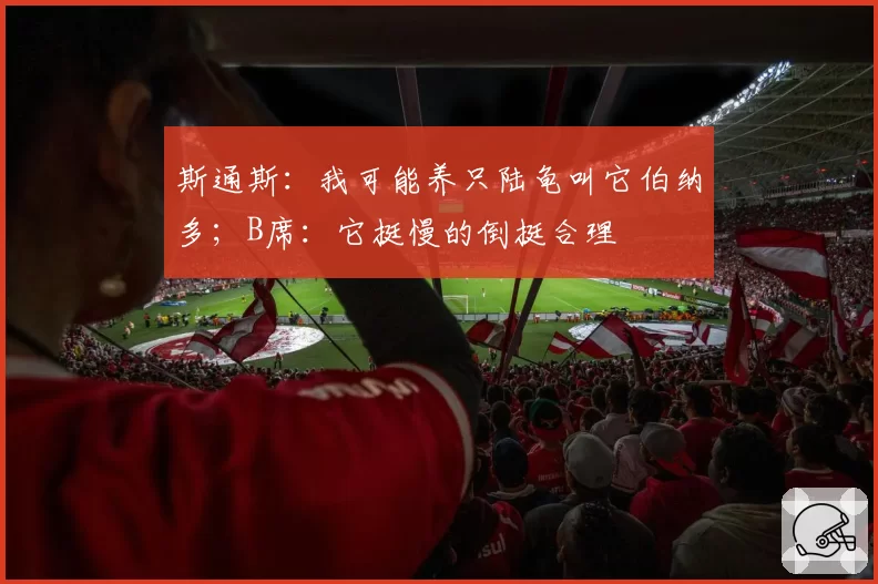 斯通斯:我可能养只陆龟叫它伯纳多;B席:它挺慢的倒挺合理